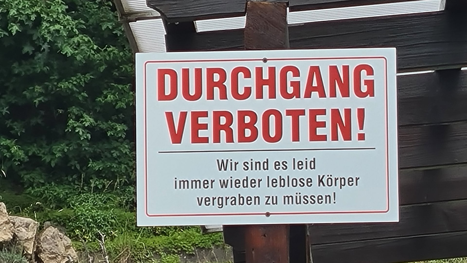 20260604_133706.jpg