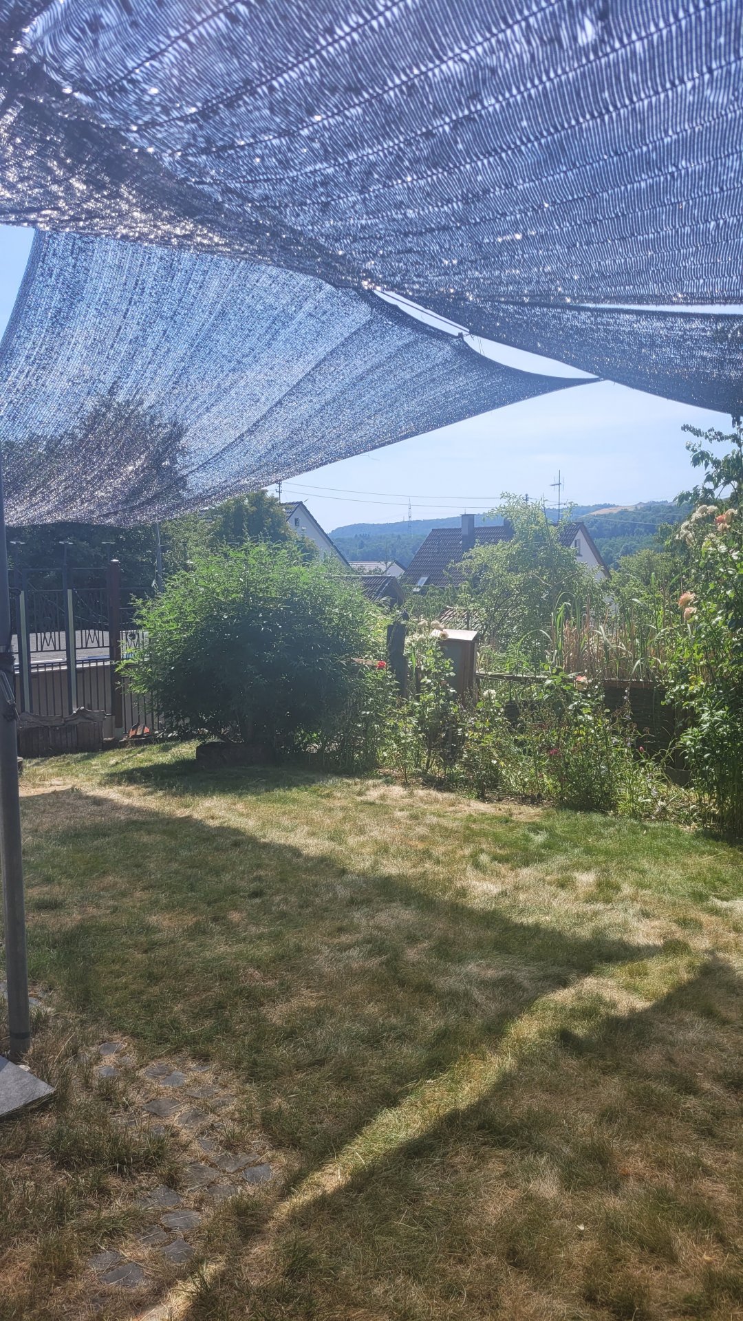 20260626_111028.jpg