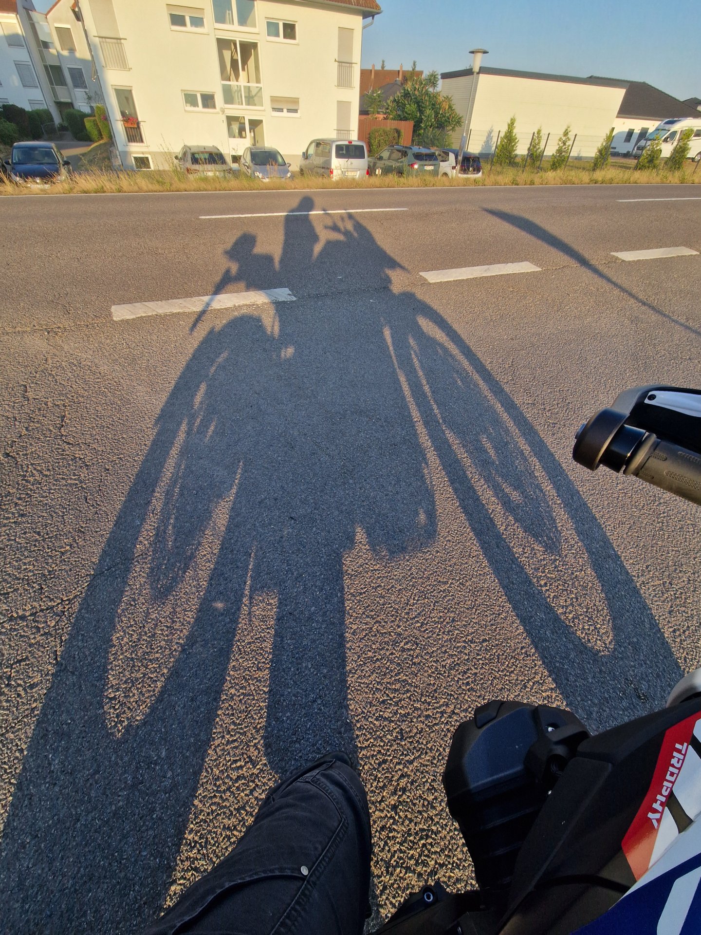 20260702_061318.jpg