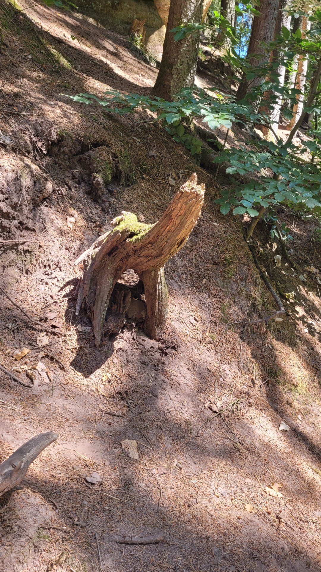 20260724_132006.jpg