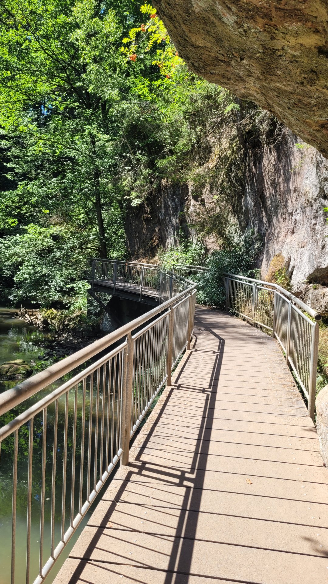 20260724_132612.jpg