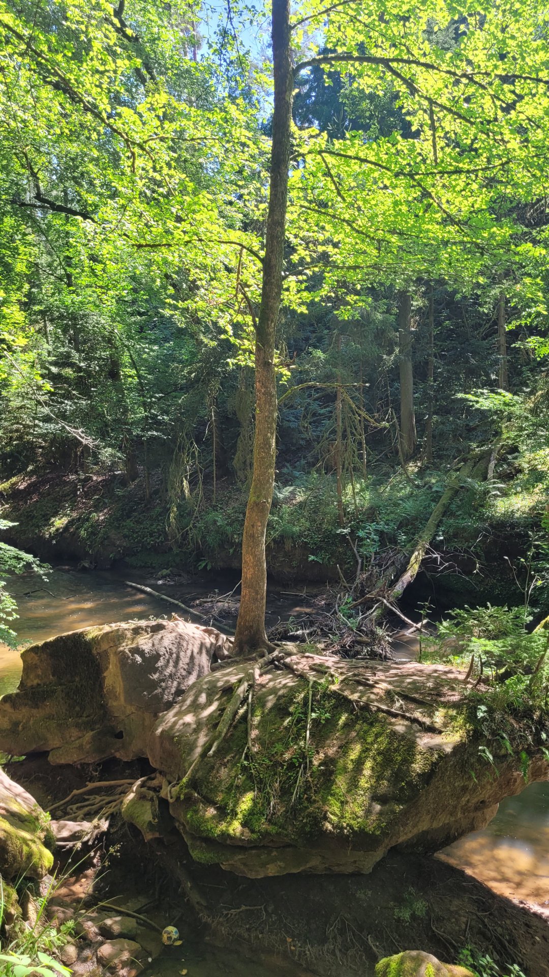 20260724_133806.jpg