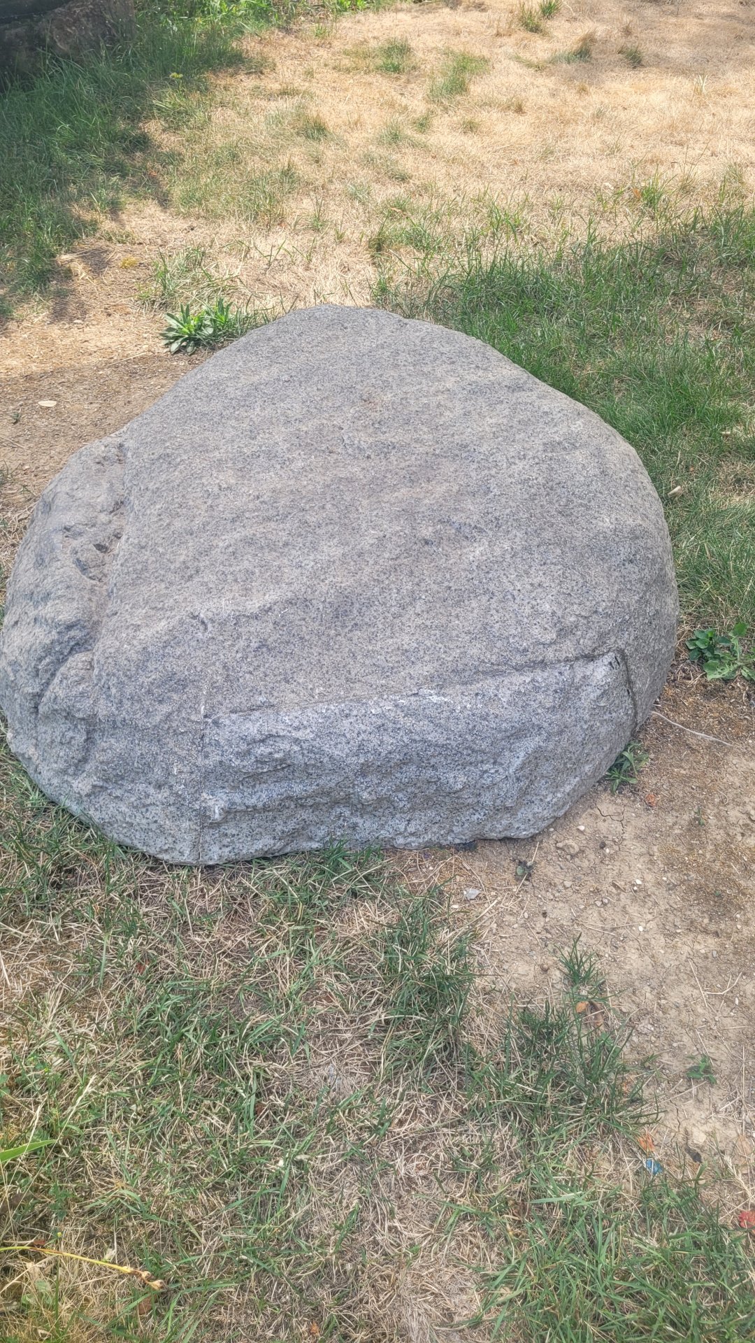 20260731_142407.jpg