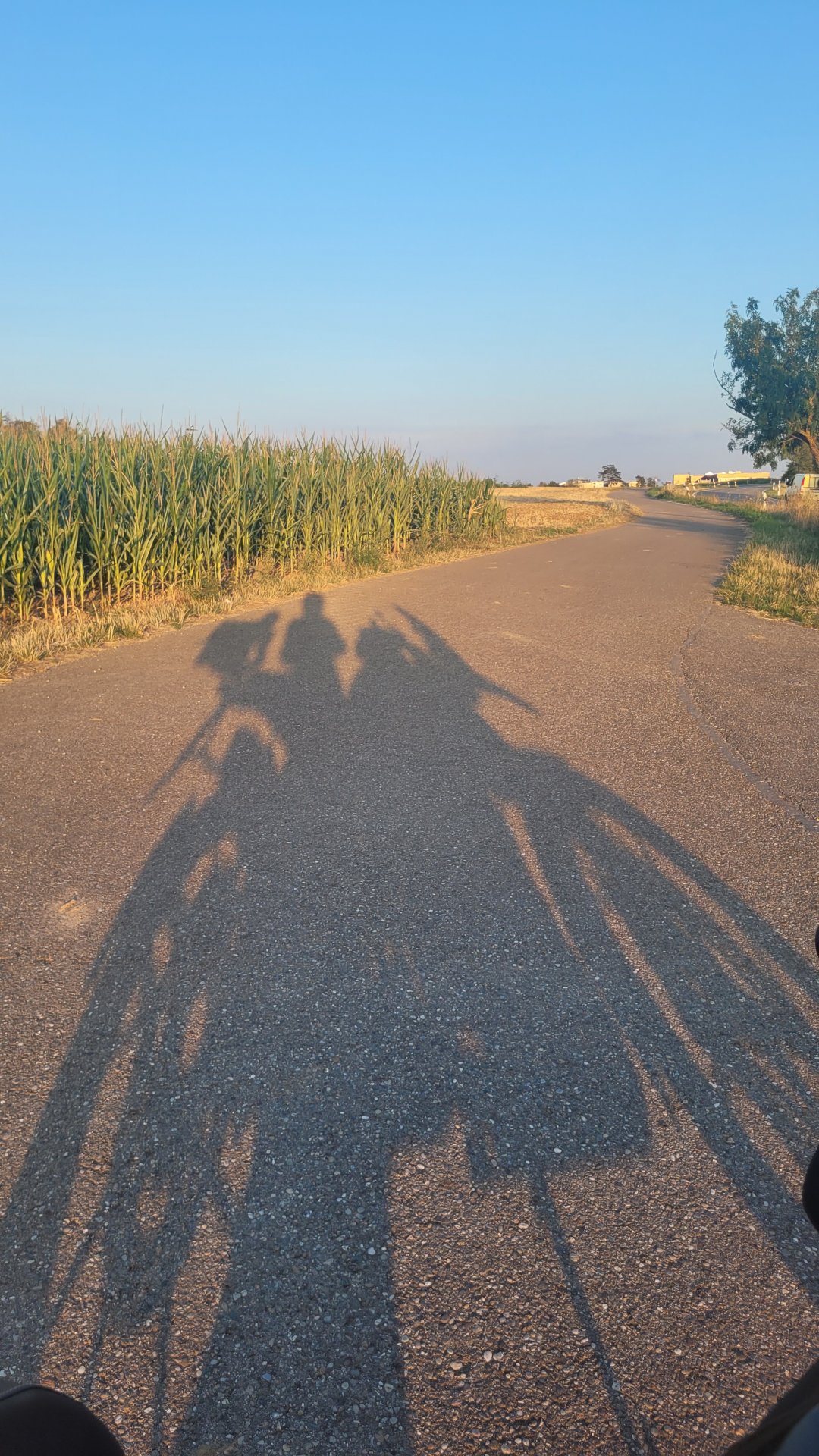 20260802_202146.jpg
