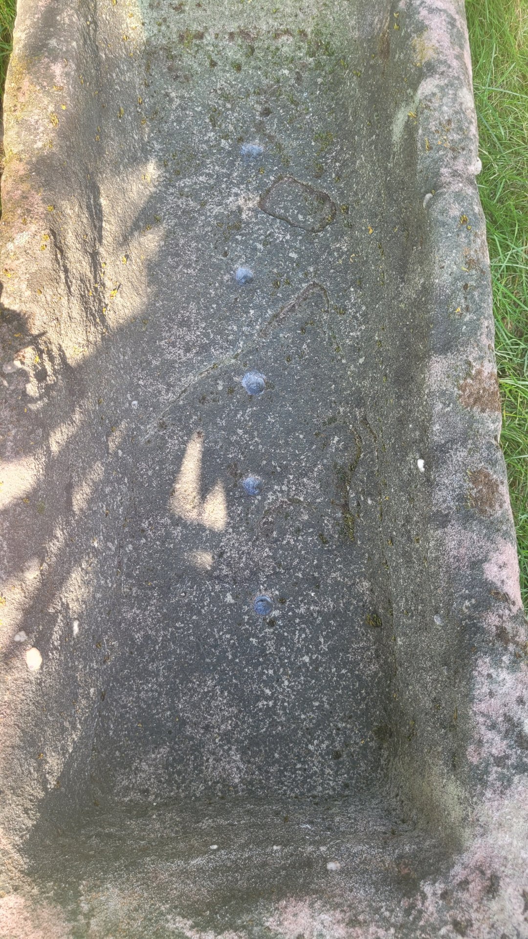 20260805_101455.jpg