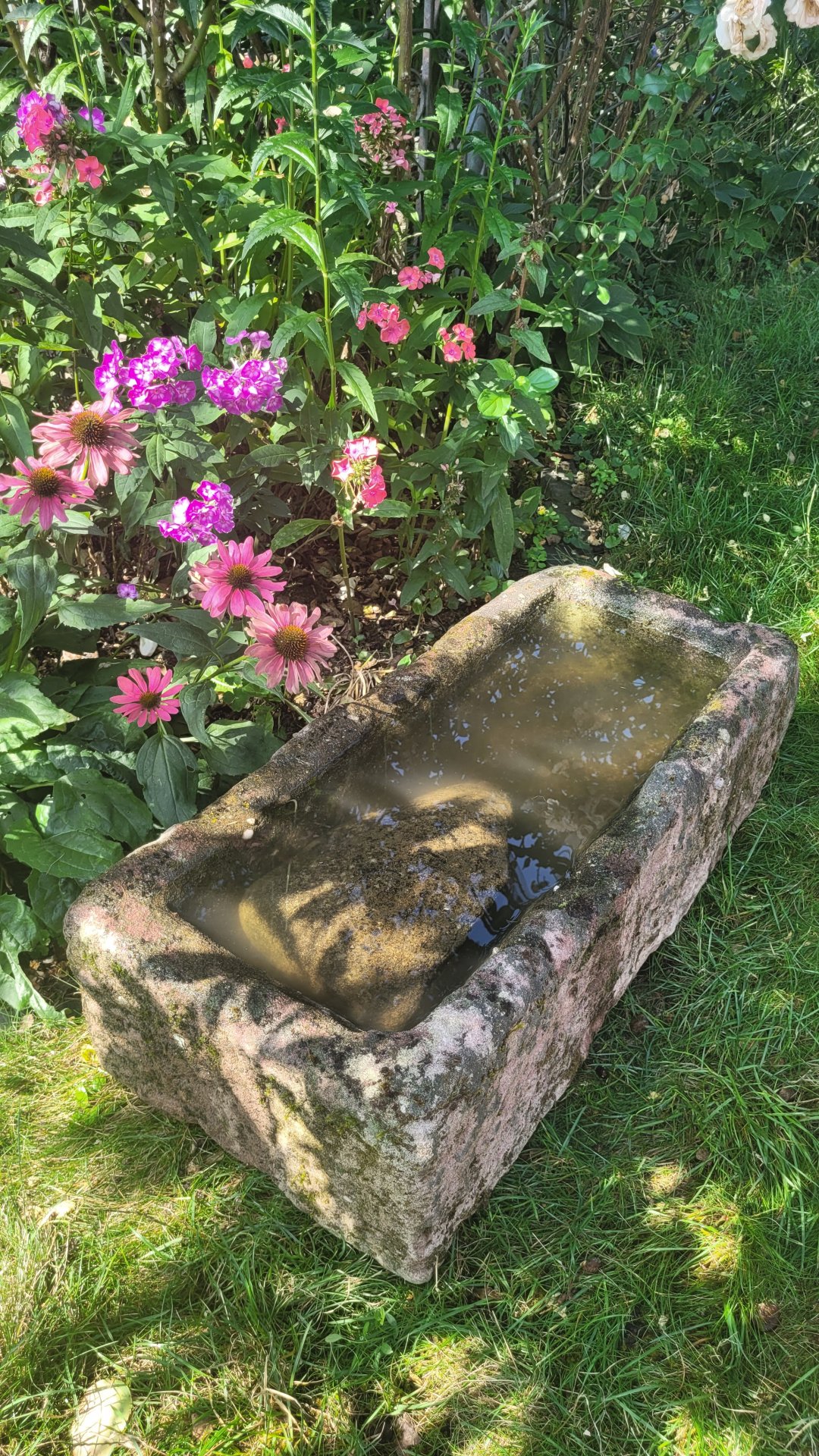 20260805_102633.jpg