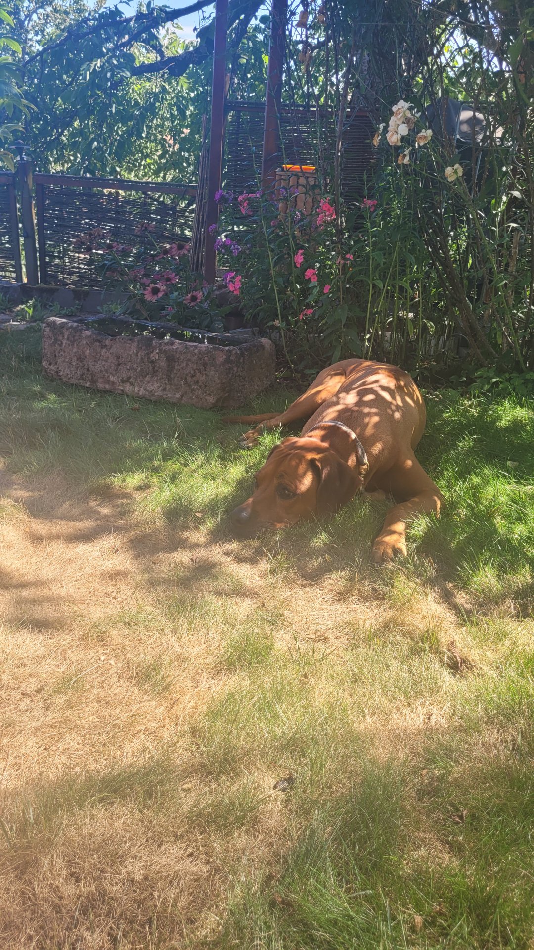 20260807_145830.jpg