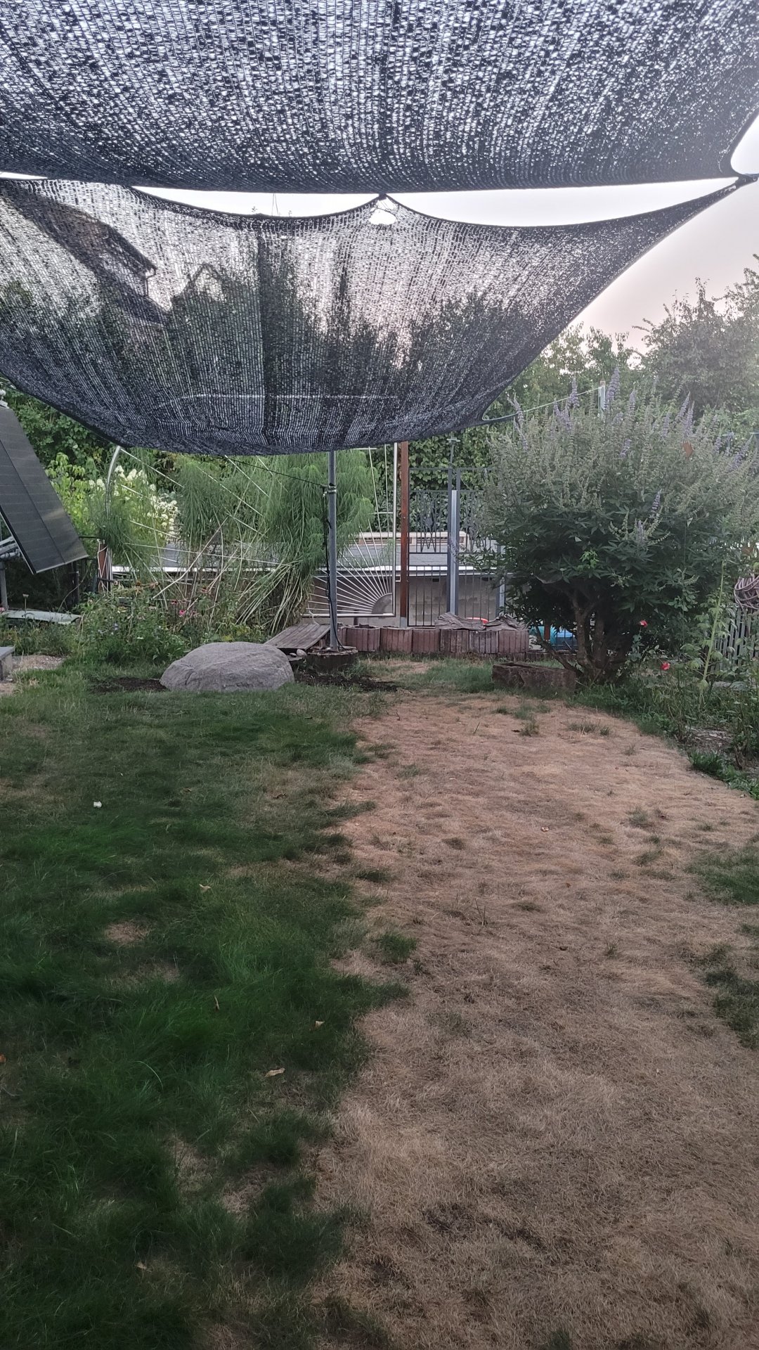 20260813_205016.jpg