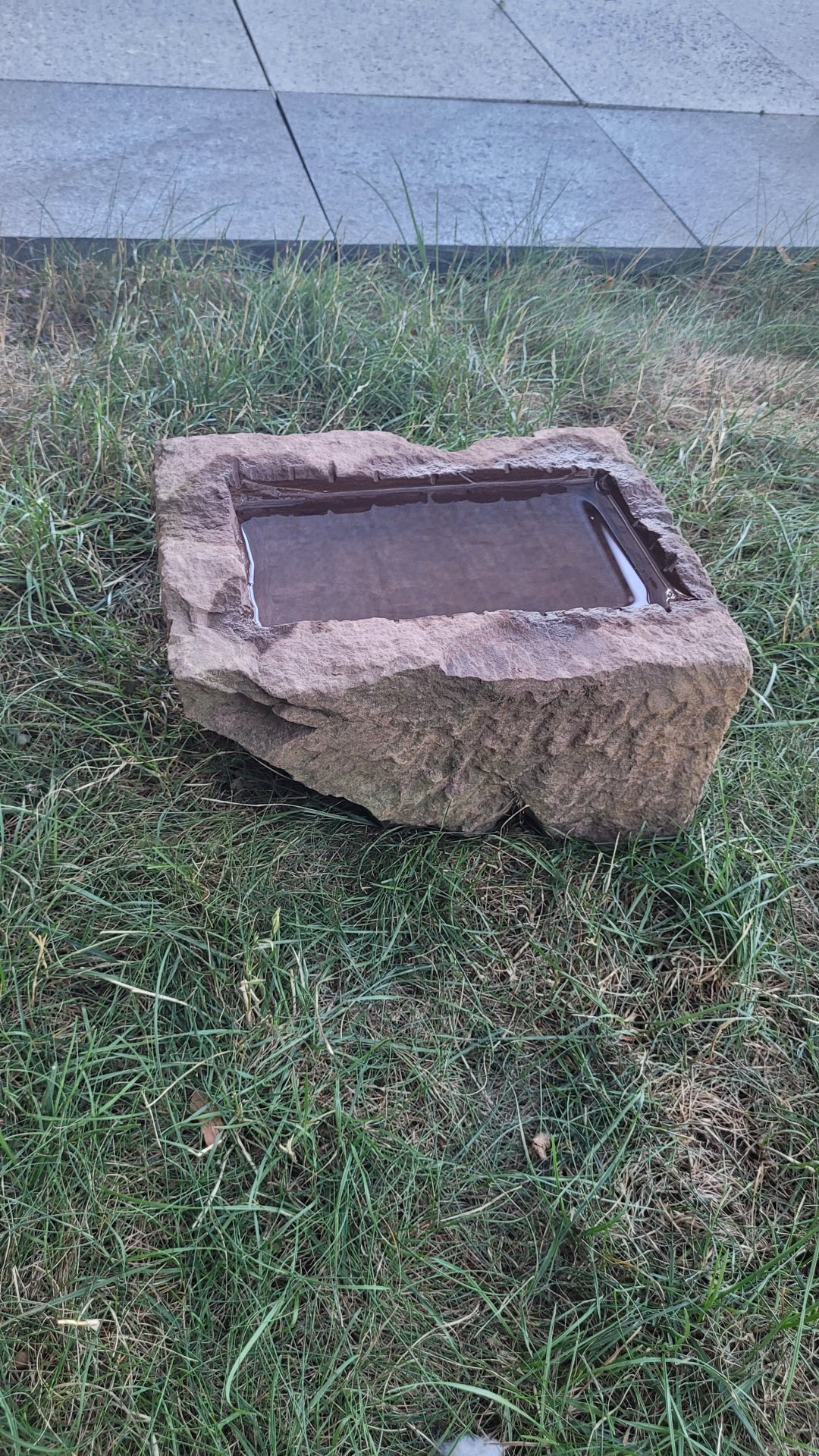 20260814_183514.jpg