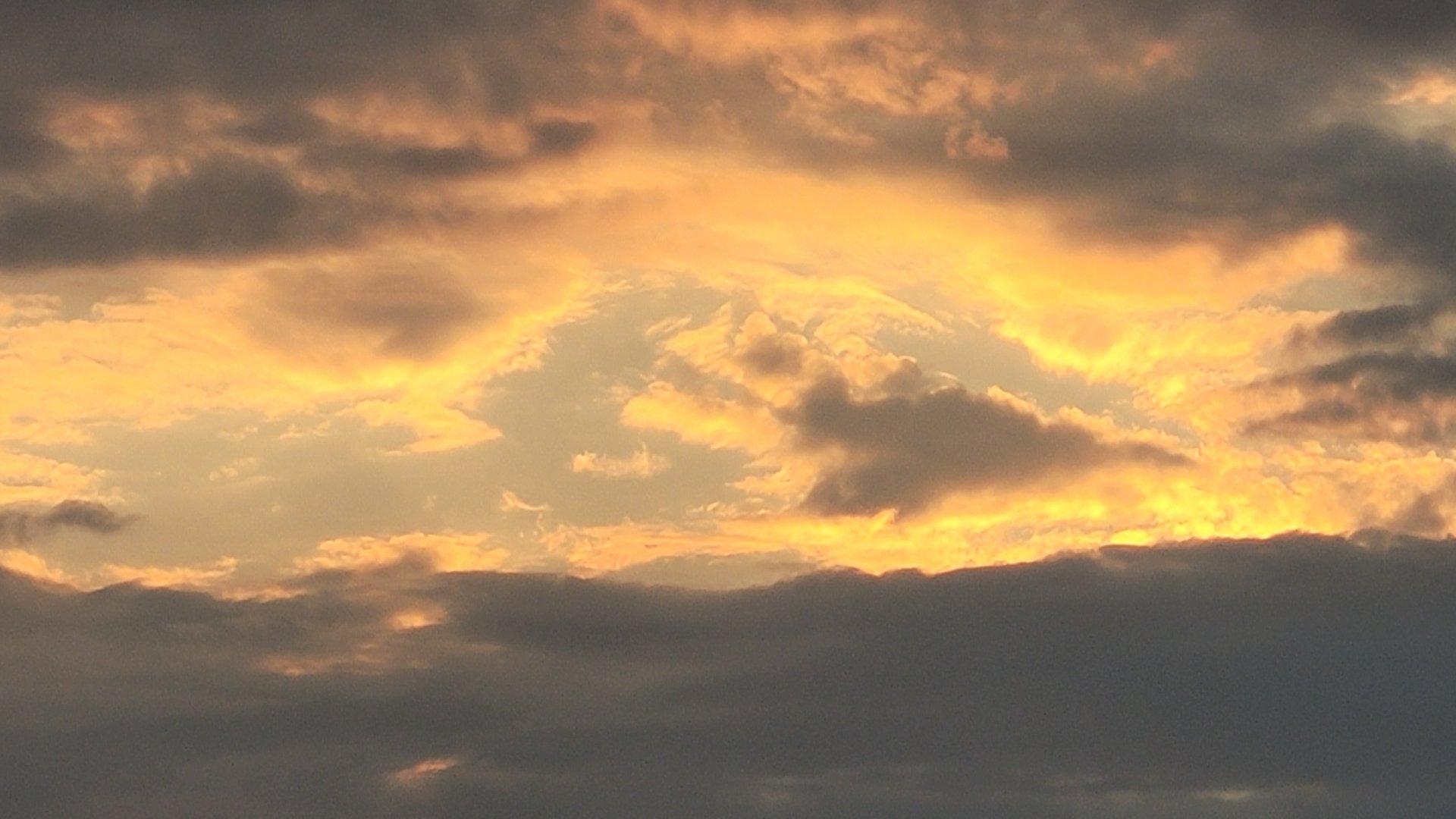 20260816_201224.jpg