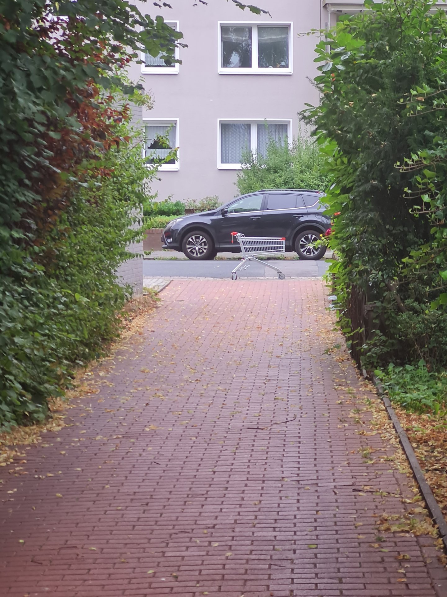 20260817_140309.jpg