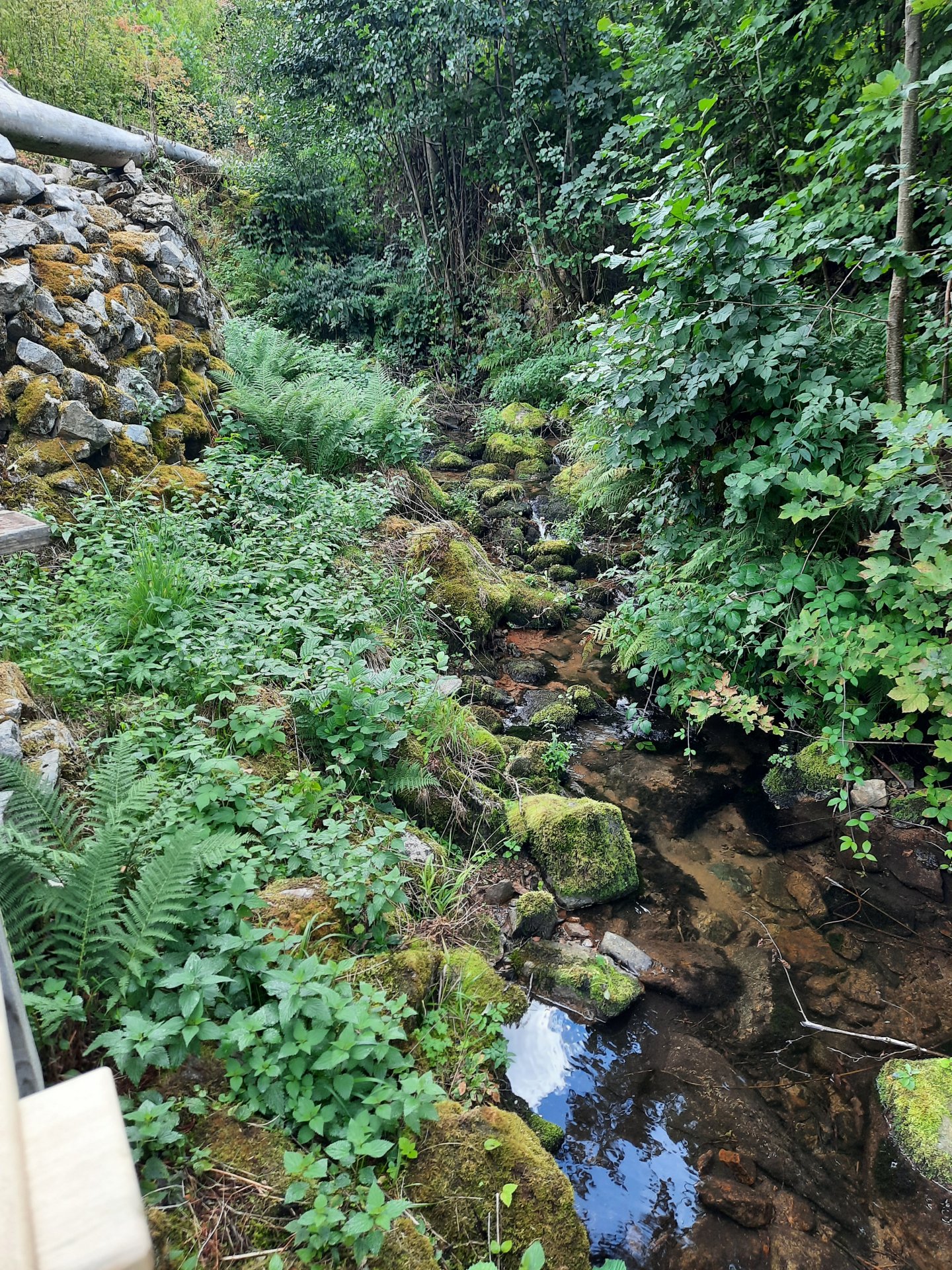 20260911_115133[1].jpg