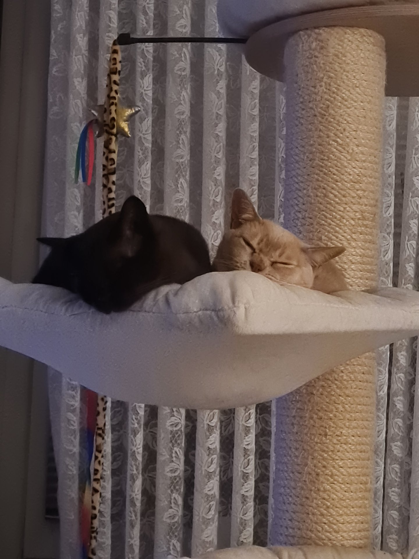 20260912_215125.jpg