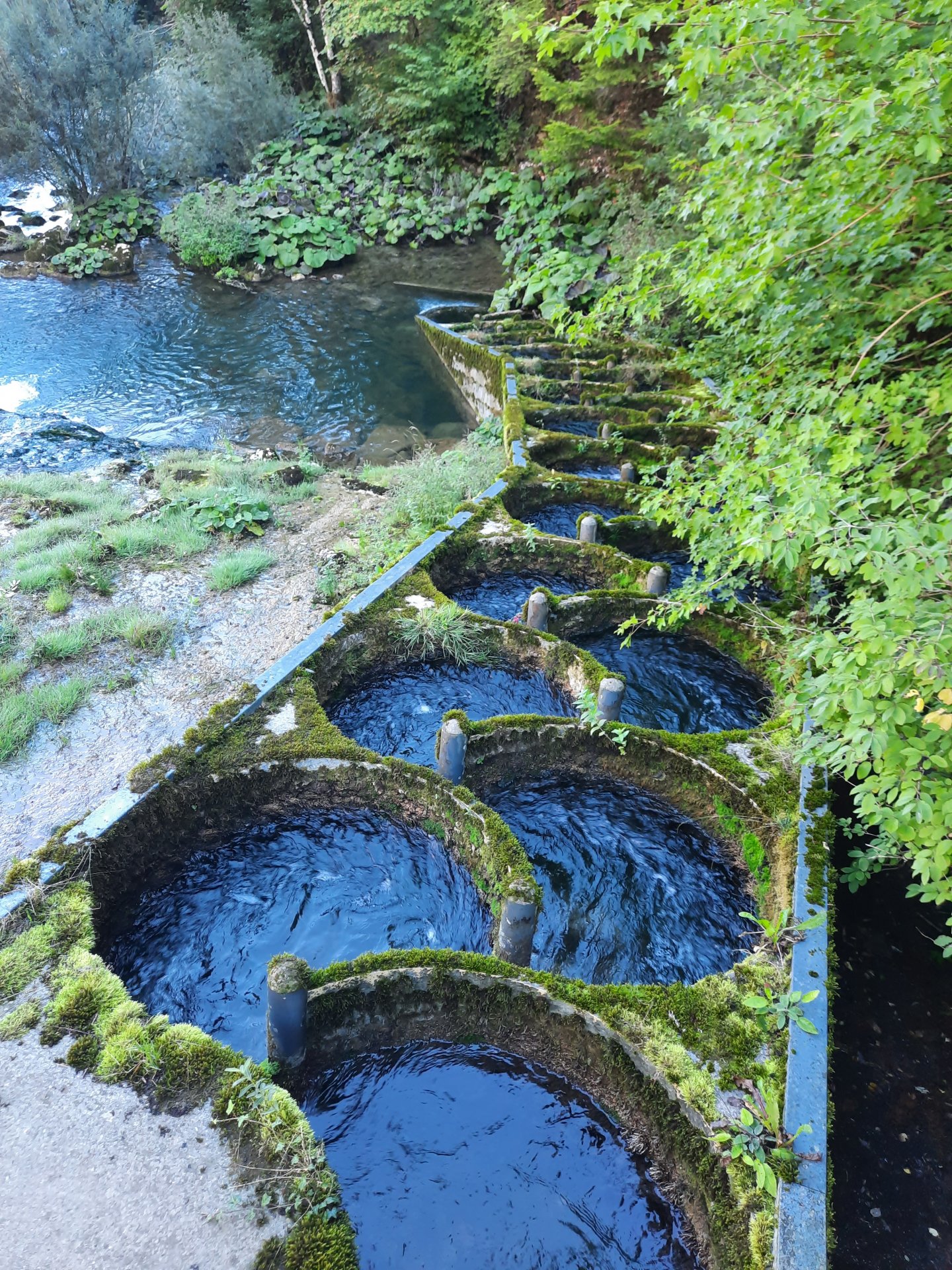 20260915_101500.jpg