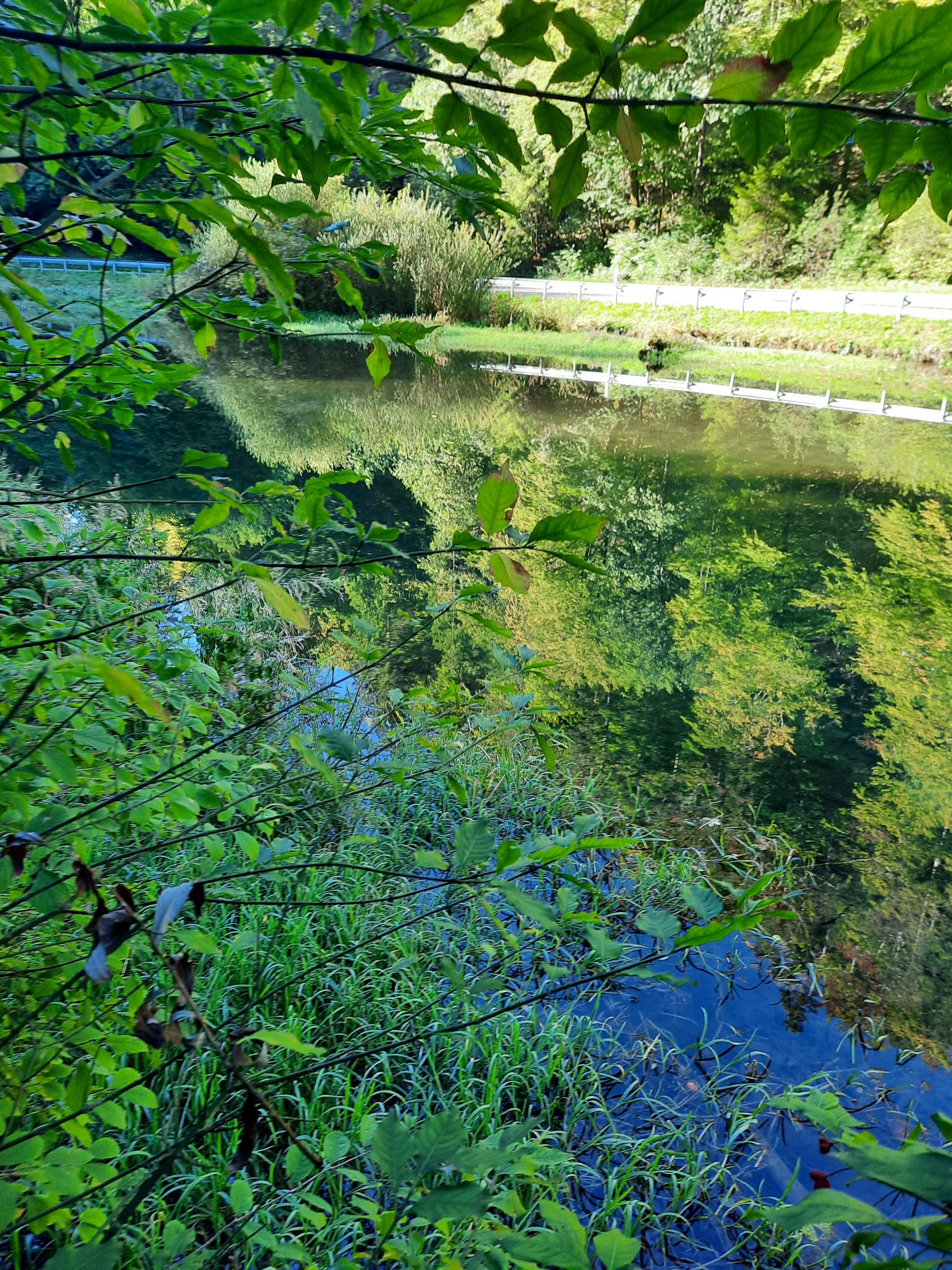 20260915_101630.jpg