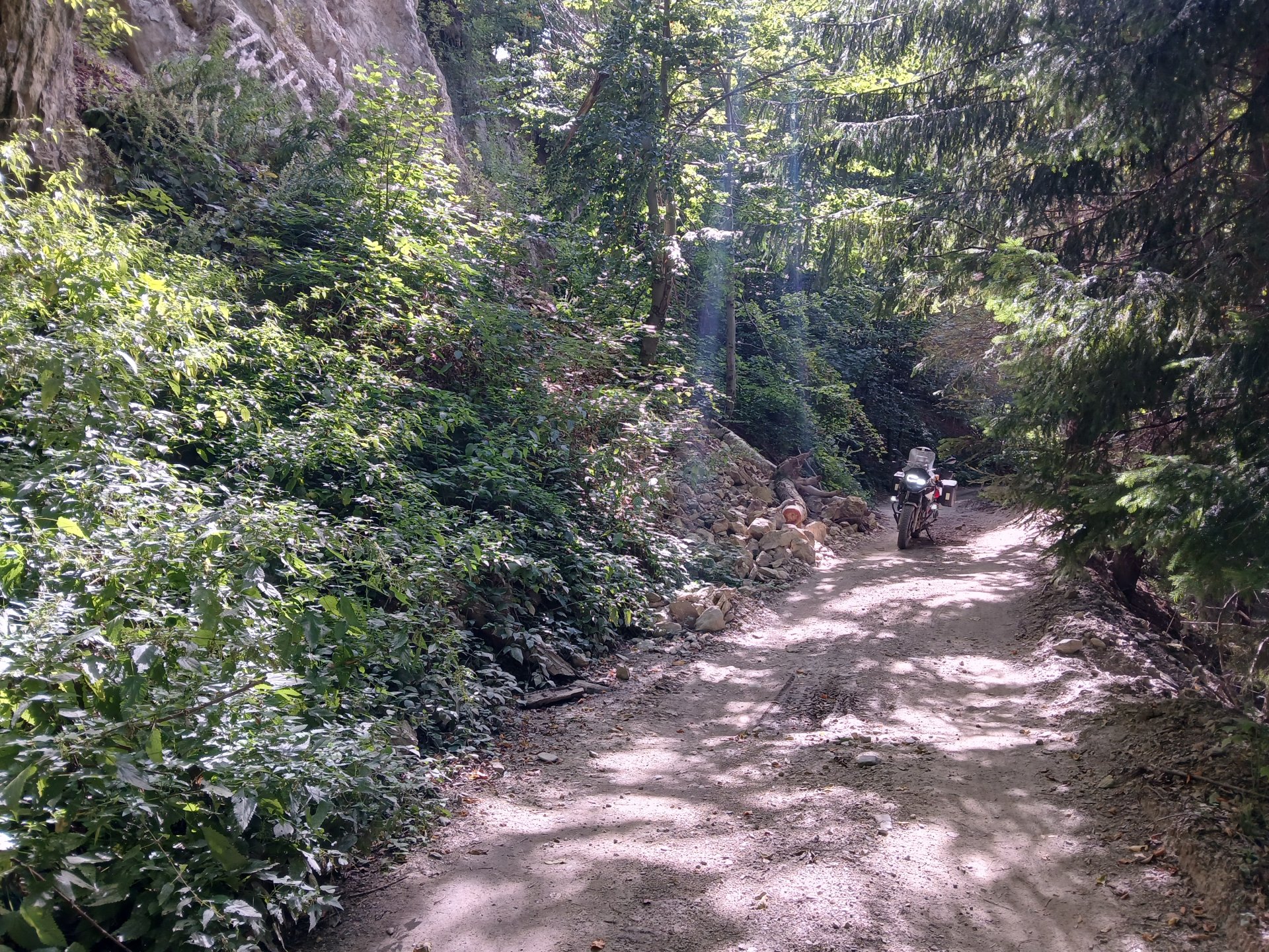 20260915_110800.jpg