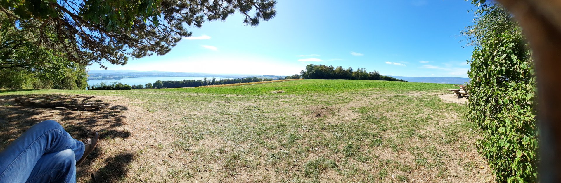 20260915_152528.jpg