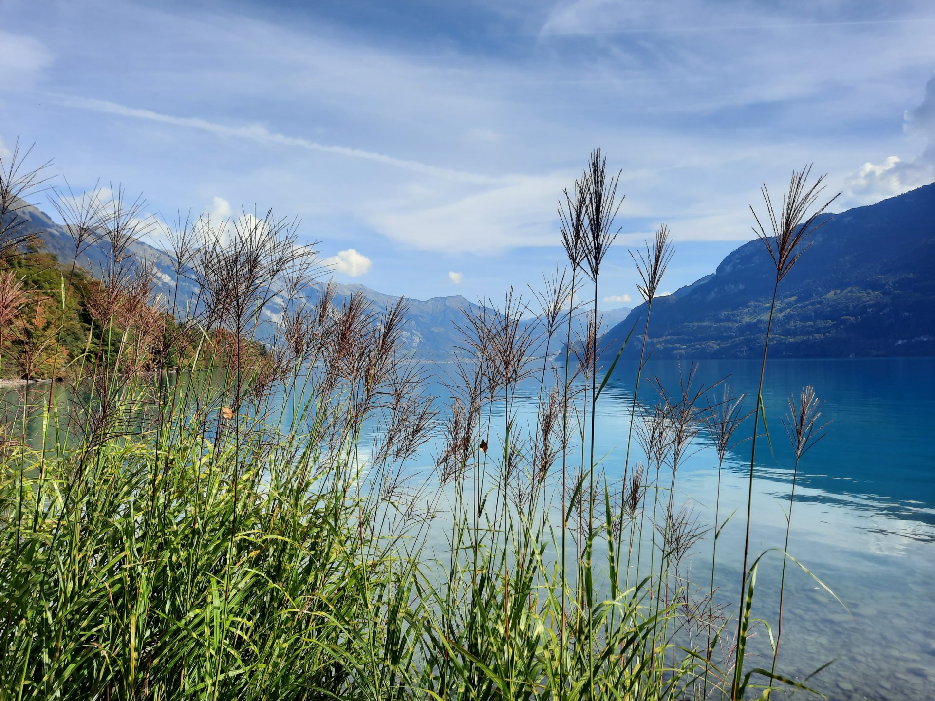 20261004_123701[1].jpg