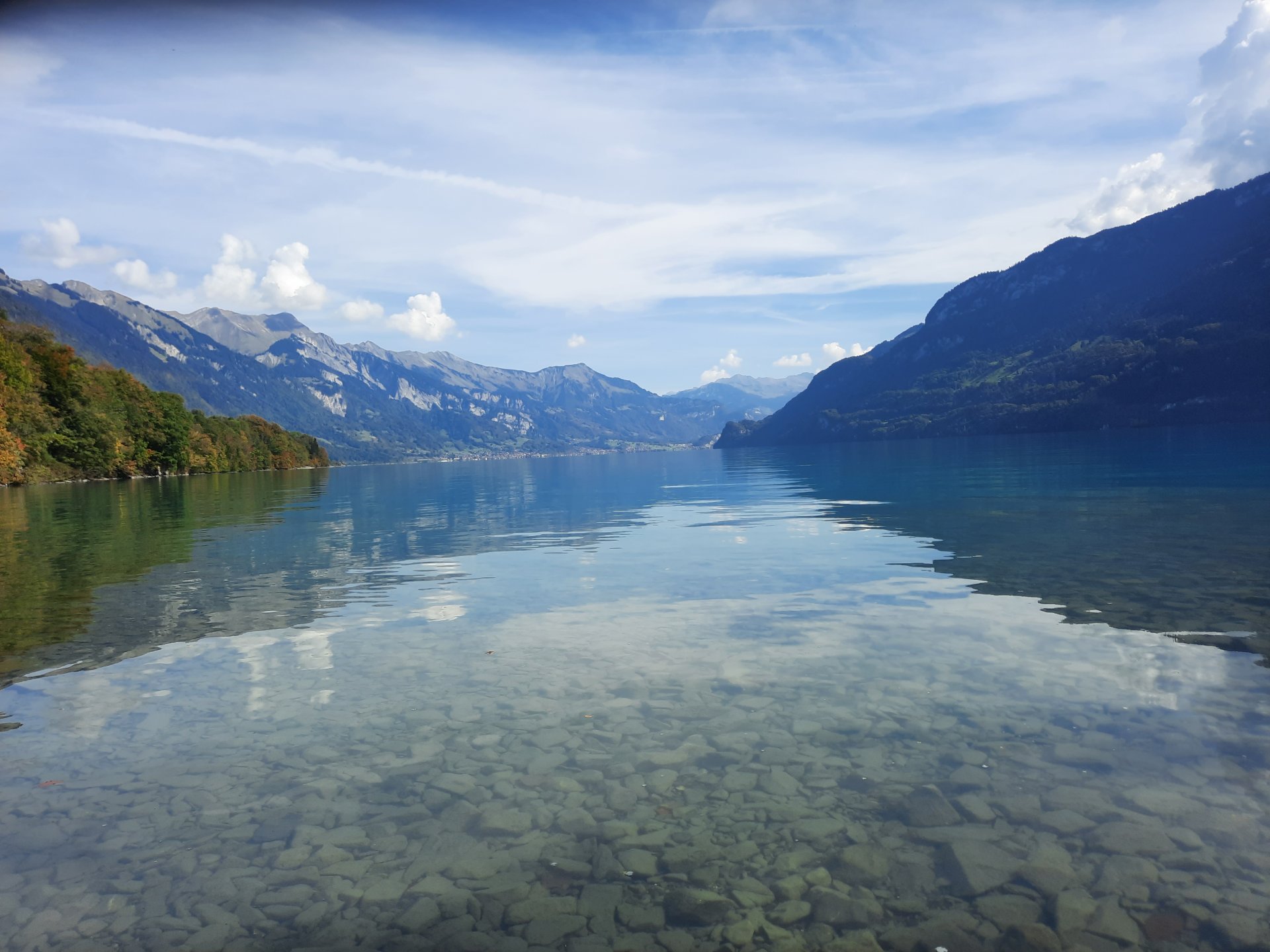 20261004_123921[1].jpg