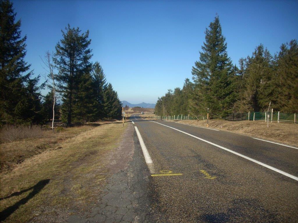 20D5765M.jpg