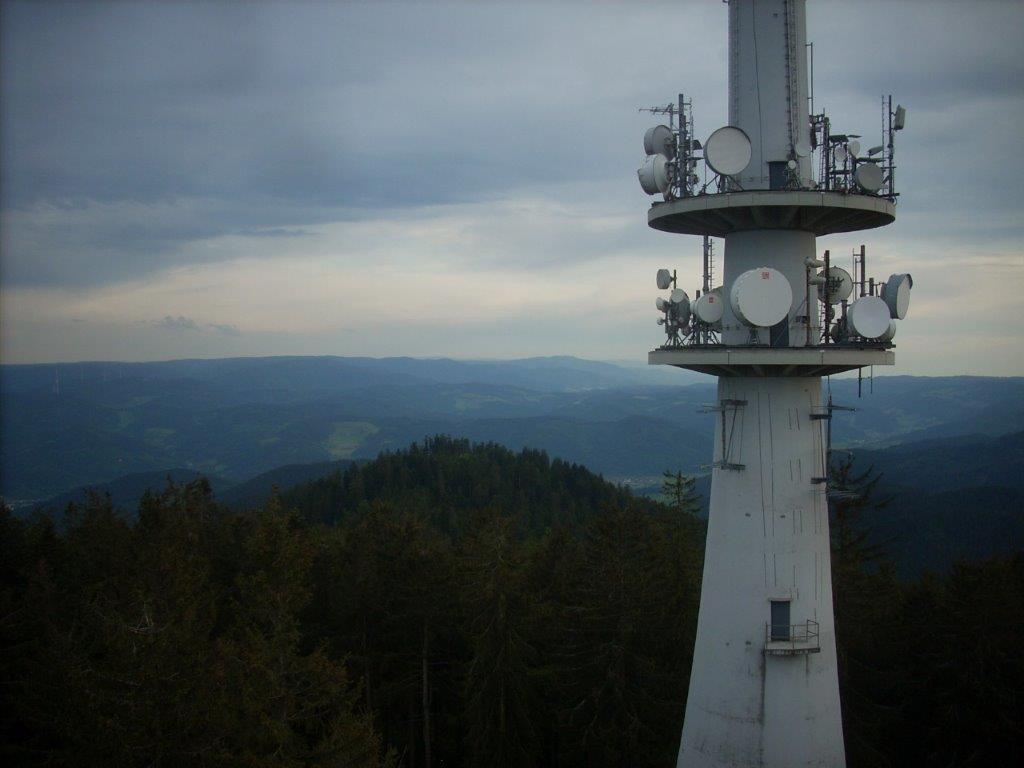 20D6842M.jpg