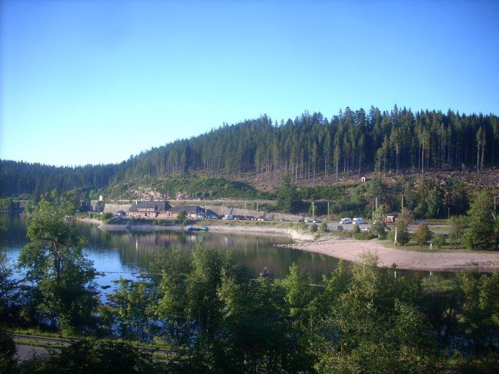 20D7533M.jpg