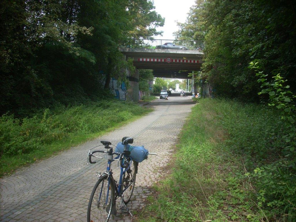 20D7623M.jpg