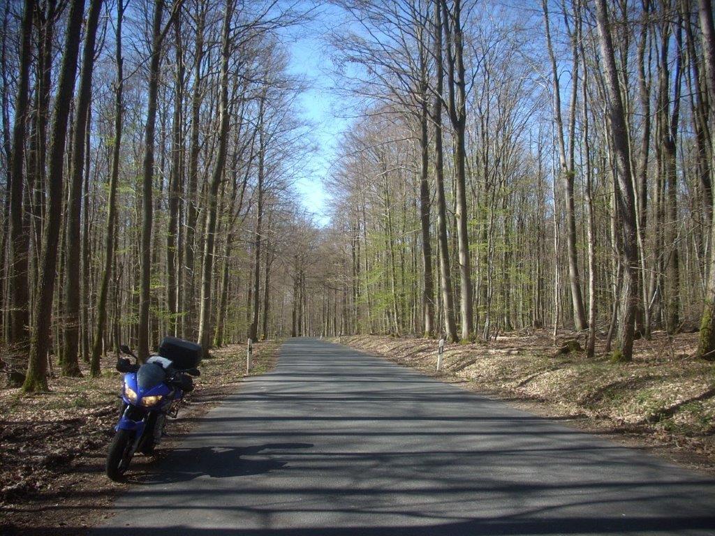 21D0348M.jpg