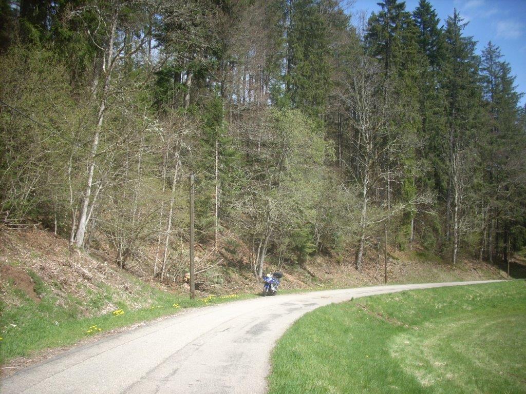 21D0415M.jpg
