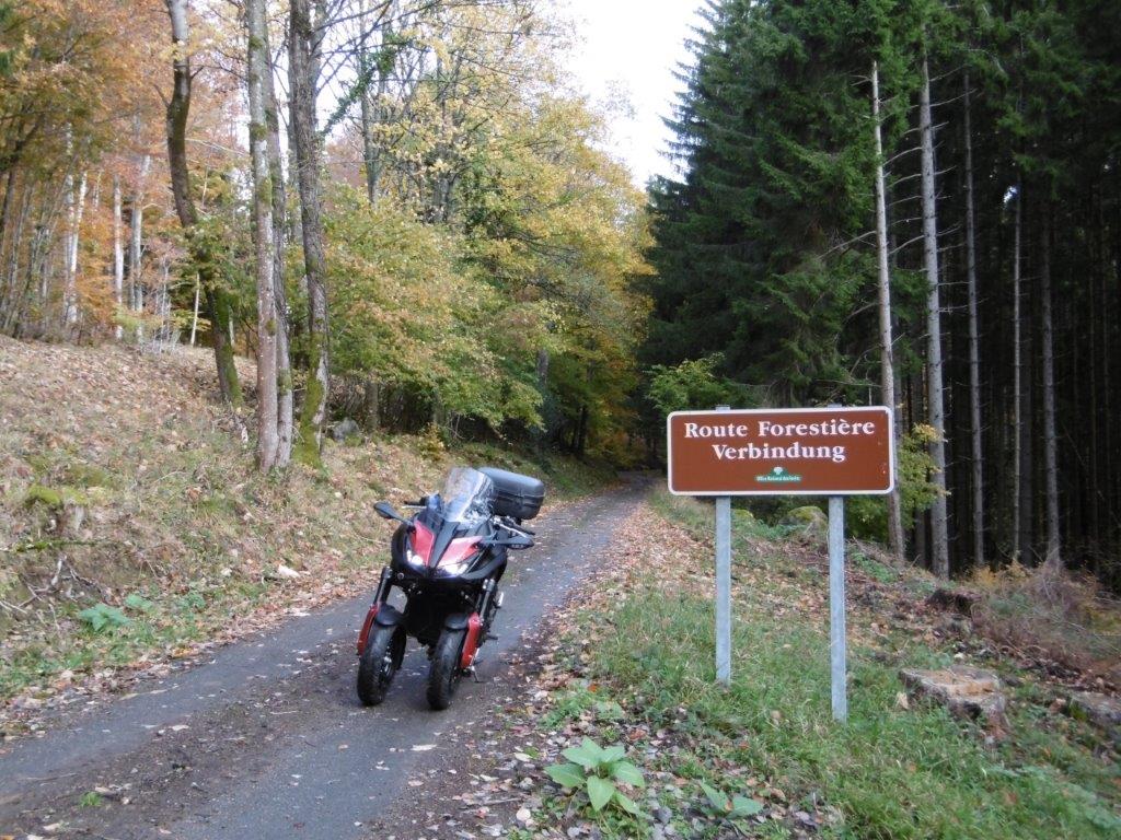 21D2147M.jpg