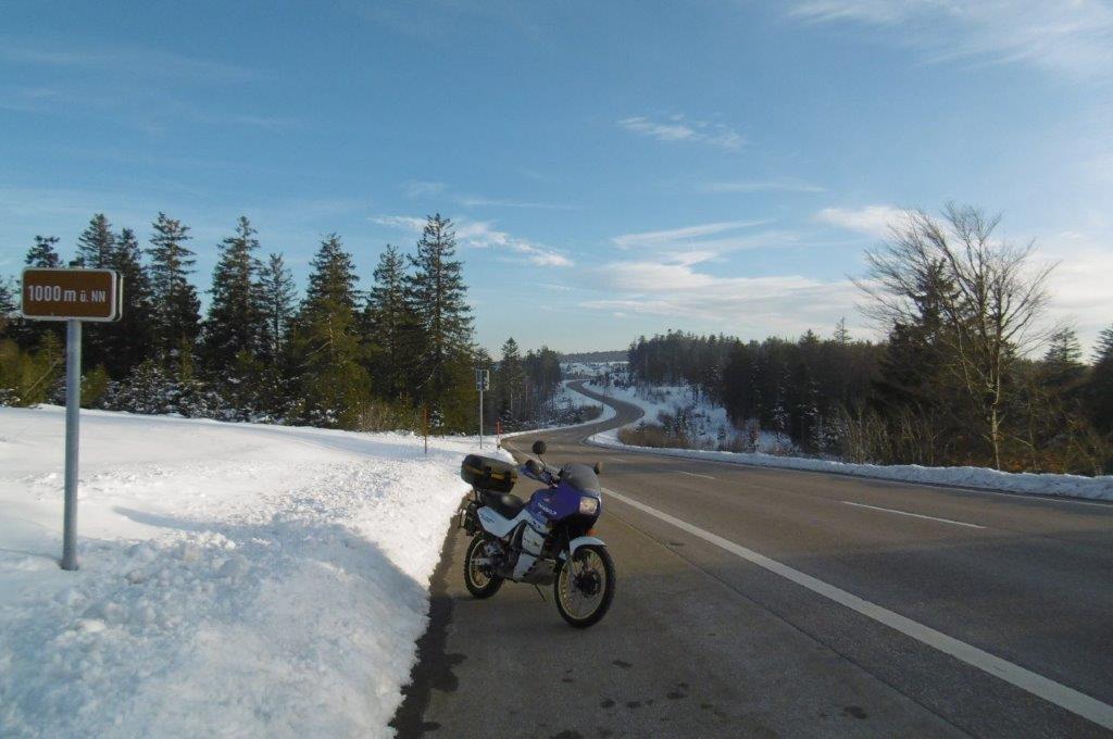 23D5519M.jpg