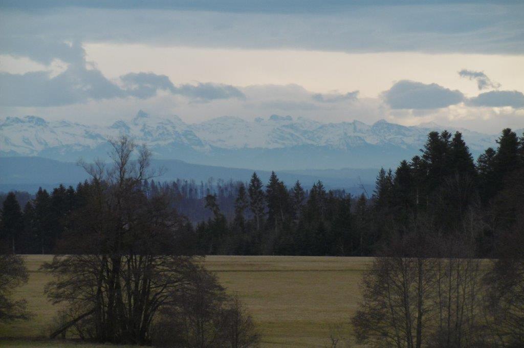 24D9004M.jpg