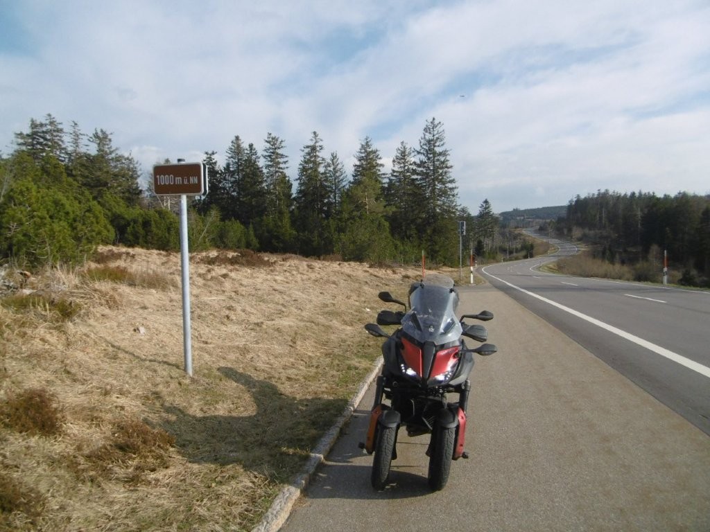 25D3890M.jpg