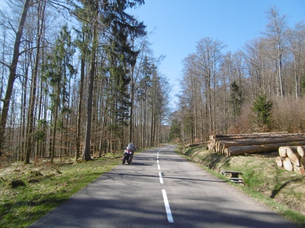 25D3931M.jpg