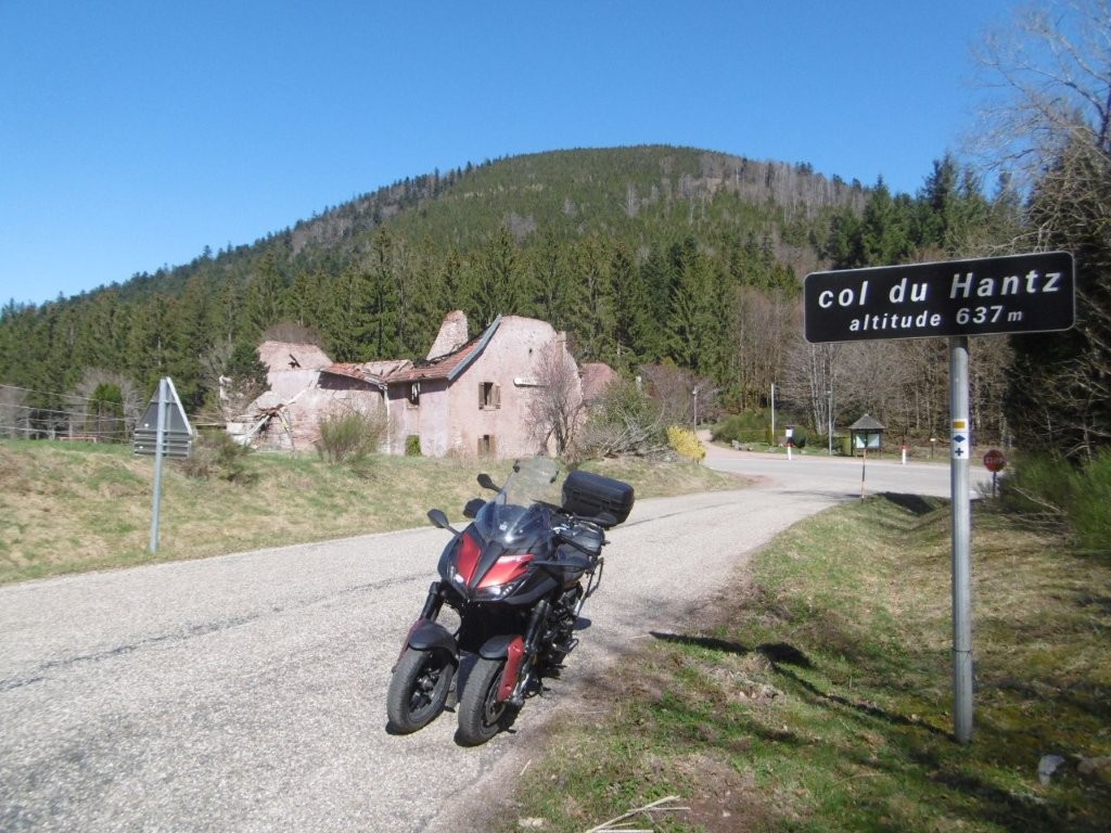 25D3938M.jpg