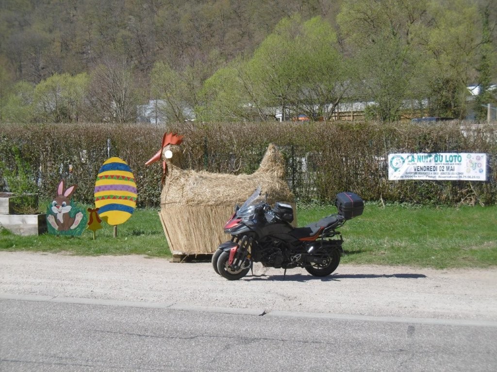 25D3945M.jpg