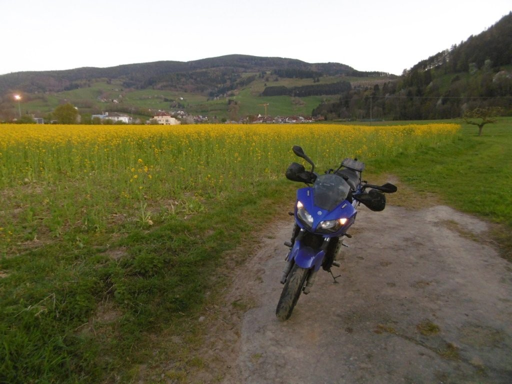 25D4005M.jpg
