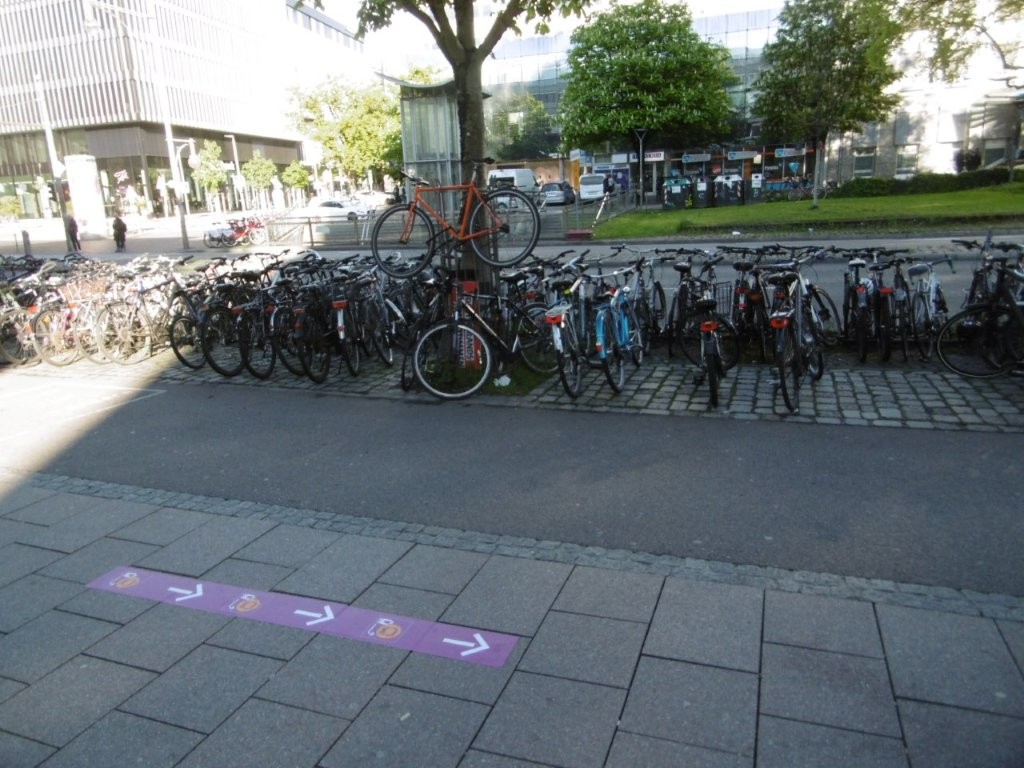 25D4038M.jpg
