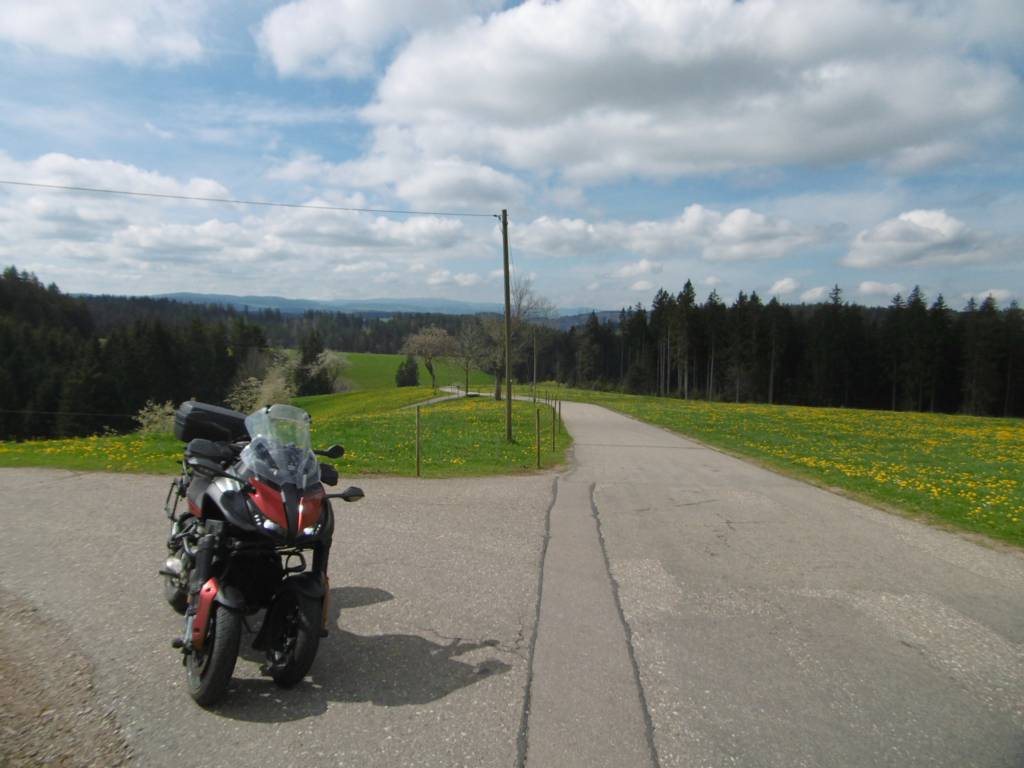 25D4097M.jpg