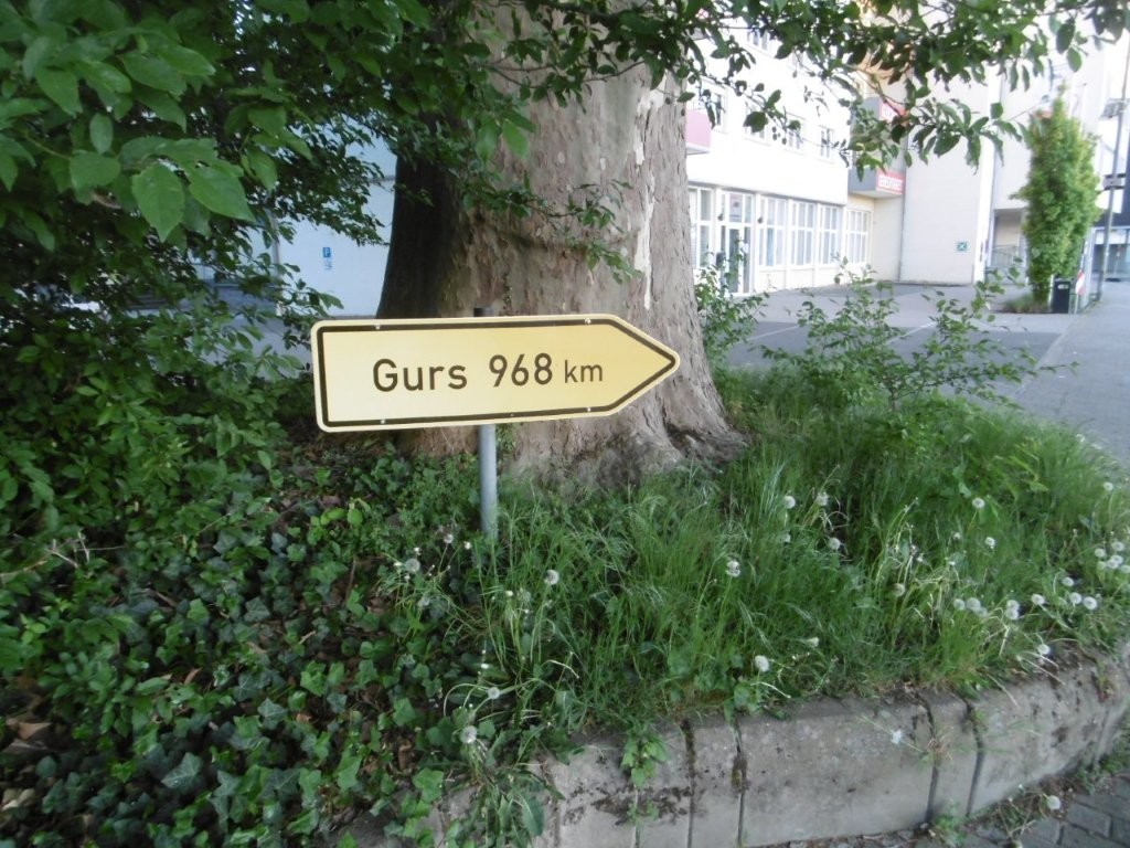 25D4146M.jpg