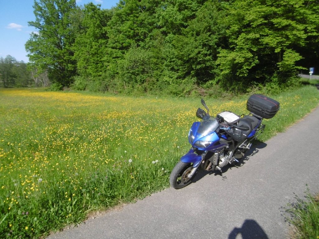 25D4272M.jpg