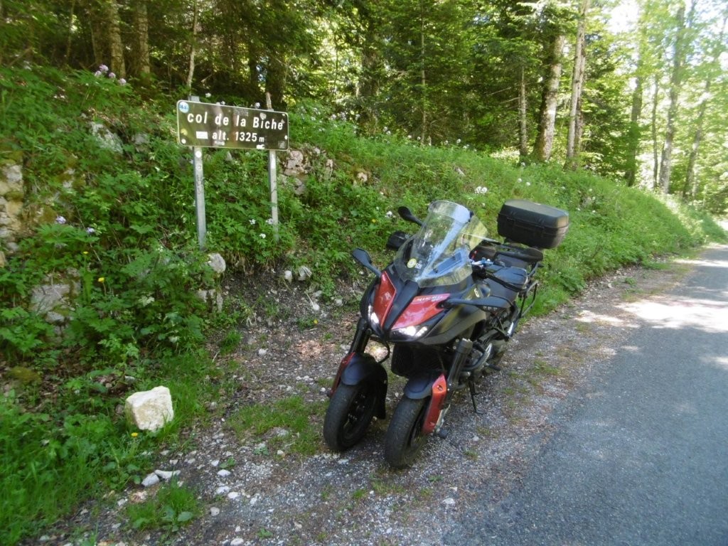 25D4515M.jpg