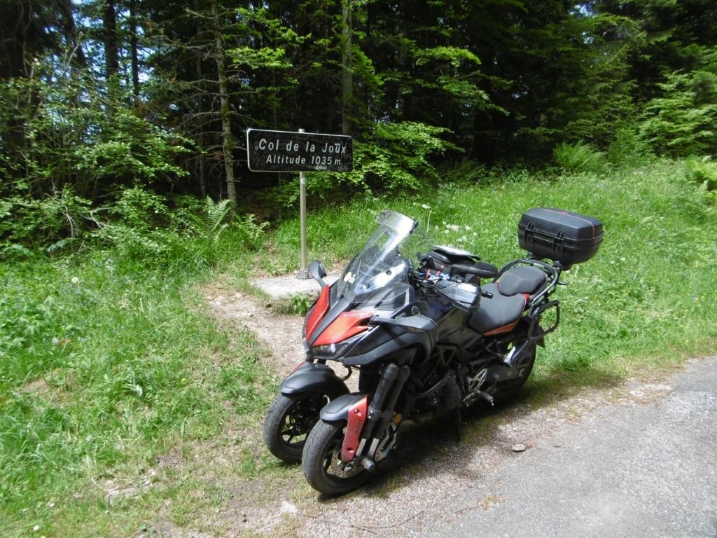 25D4591M.jpg