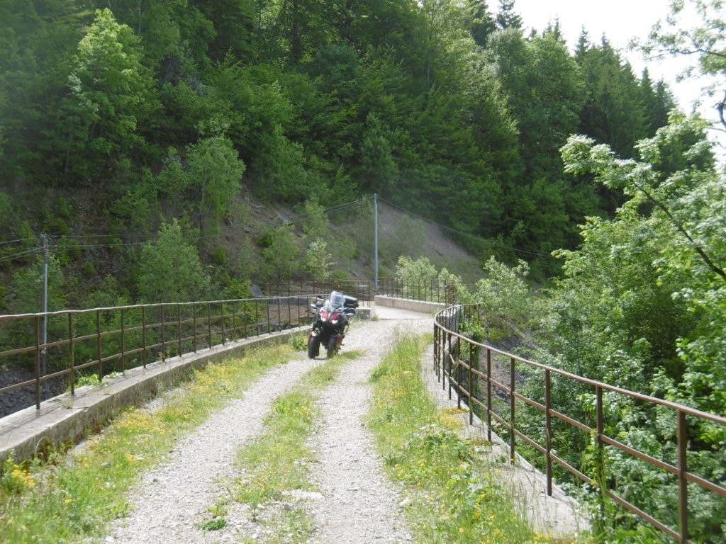 25D4620M.jpg