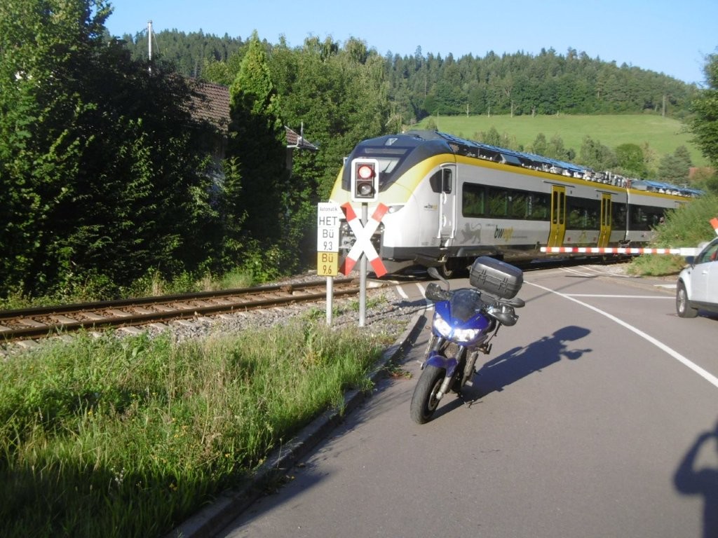 25D5408M.jpg