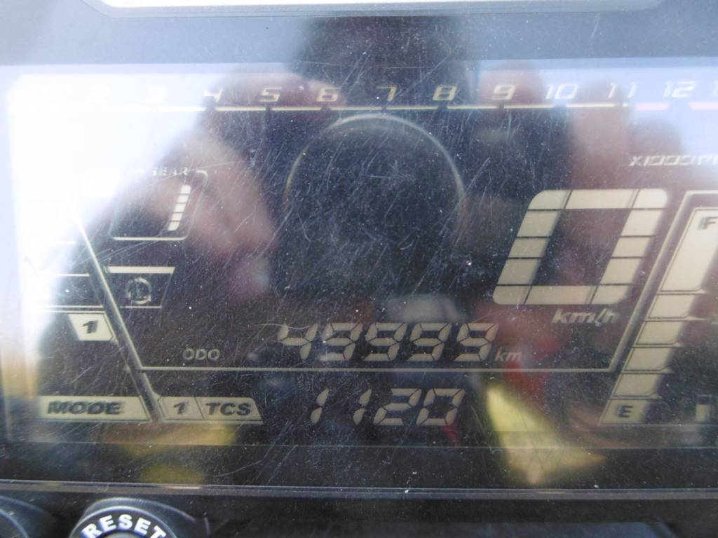 25D5453M.jpg