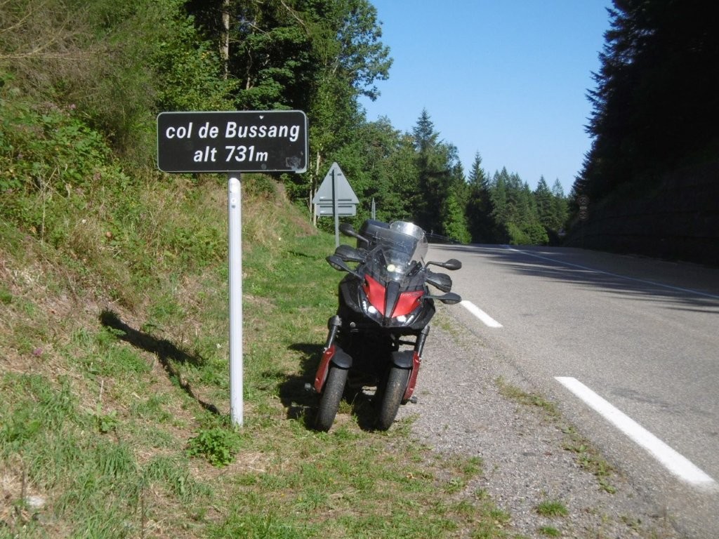25D5469M.jpg