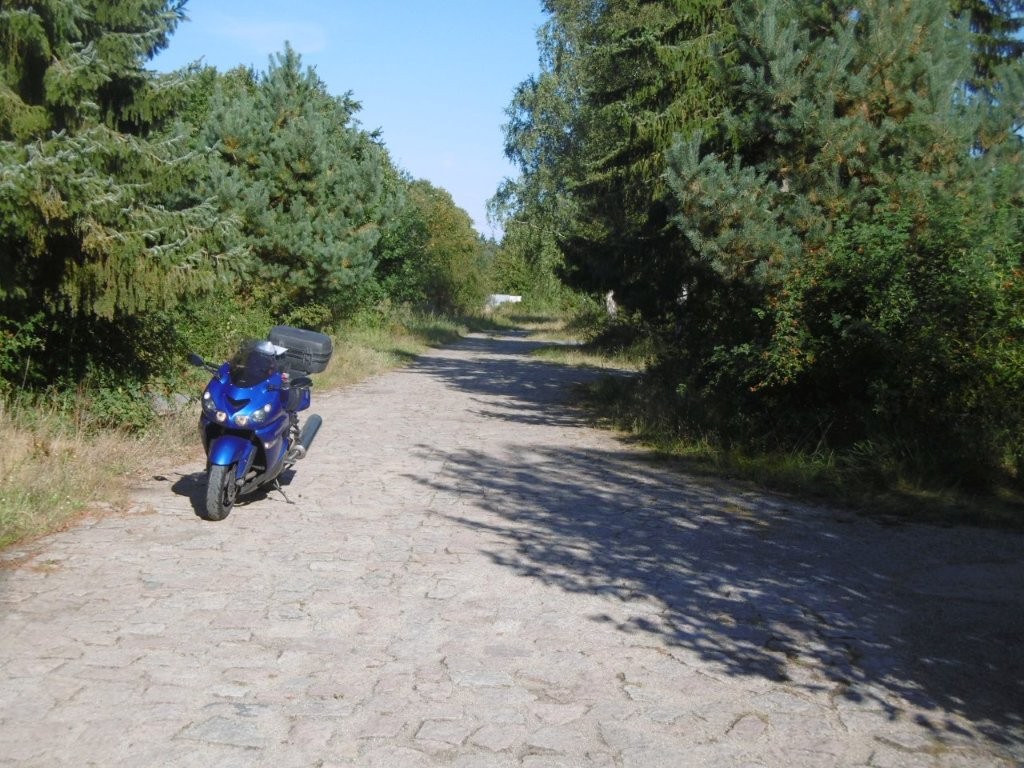 25D5884M.jpg