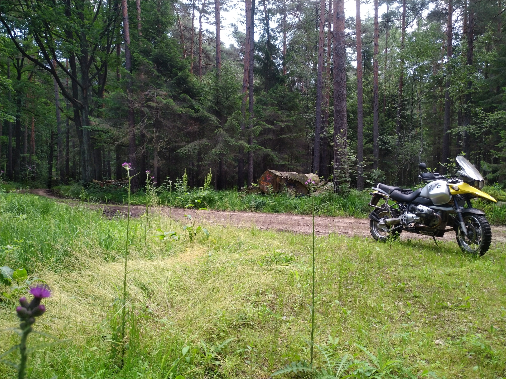 2826 IMG_20210627_121533.jpg