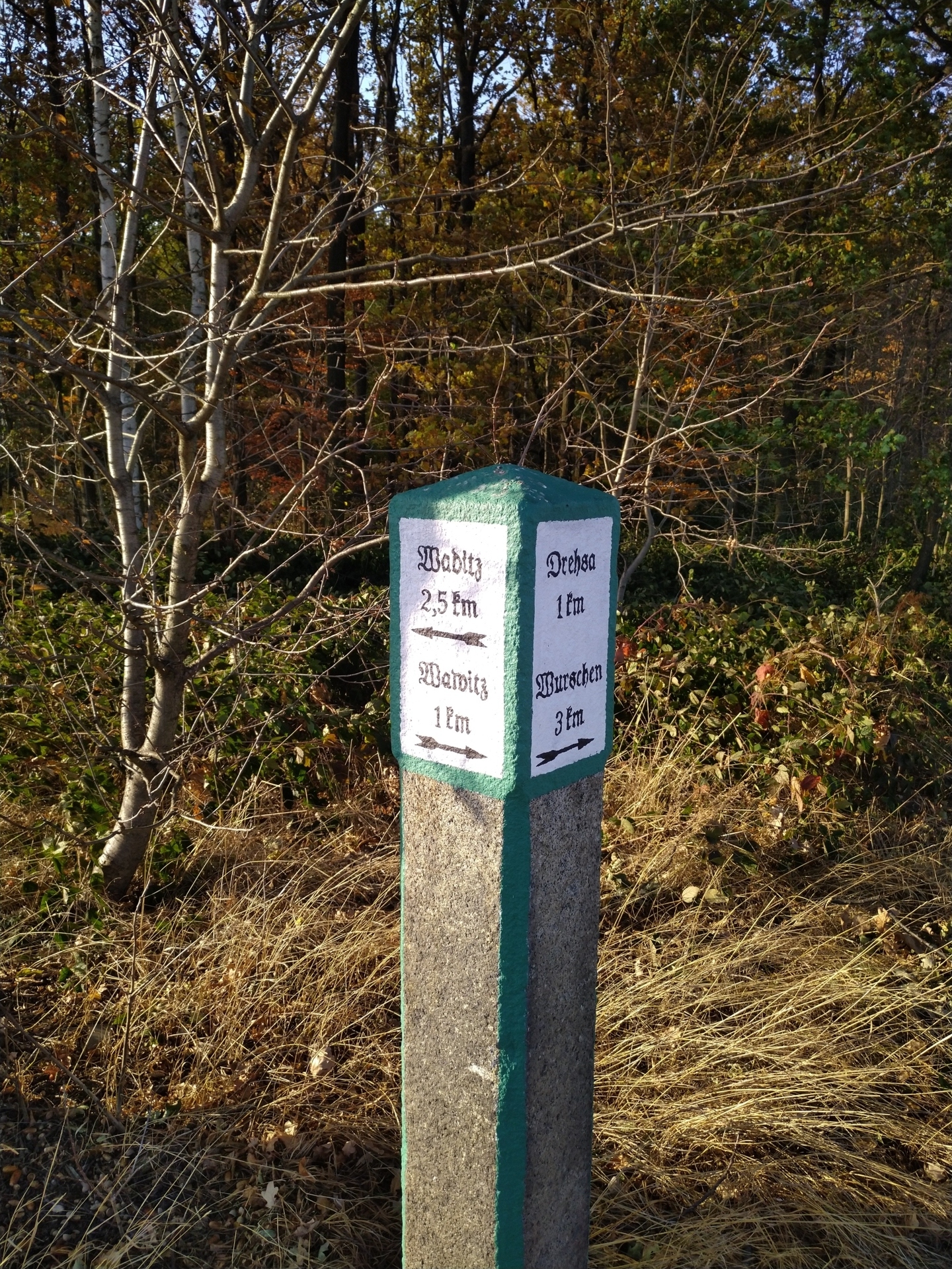 2826 IMG_20211030_154126.jpg